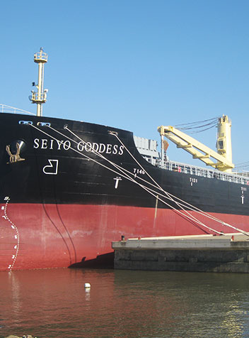 MV.SEIYO GODDESS